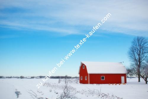 Ferienhaus im Schnee