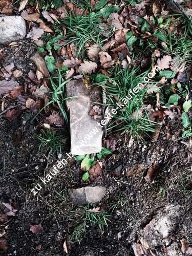 Einige Glückspflanzen in Steinen gebettet