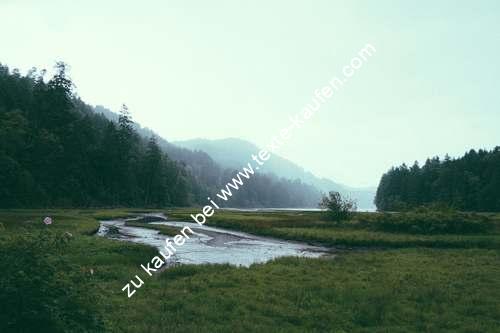 Eine Landschaft mit saftig grüner Wiese und einem kleinen Teich