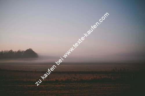 Ein Ackerfeld in Nebel gebettet