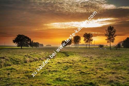 Abendstimmung