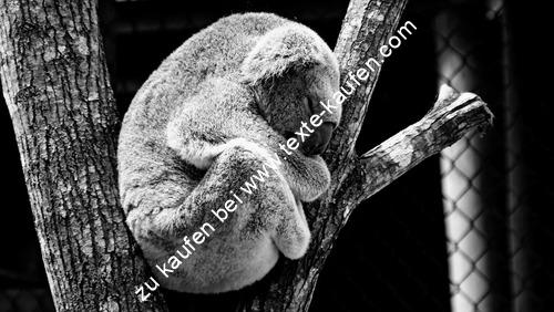 Affe auf dem Baum