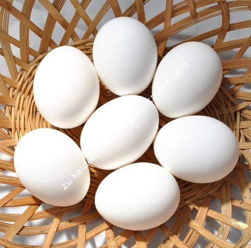 Eier weiß