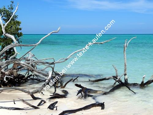 Strand exotische Schönheit