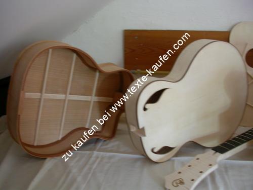 Gitarrenbehälter