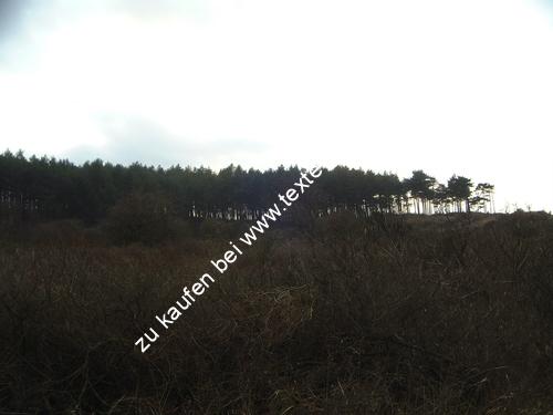Stimmungsbild Landschaft