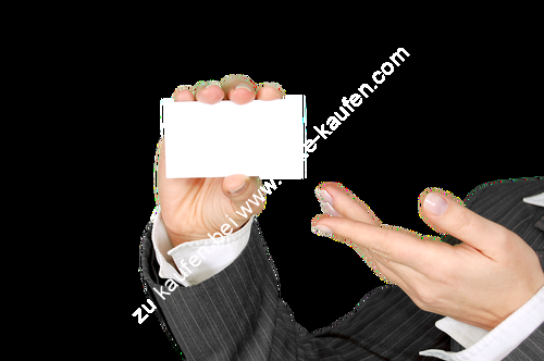 Vorstellung Persona
