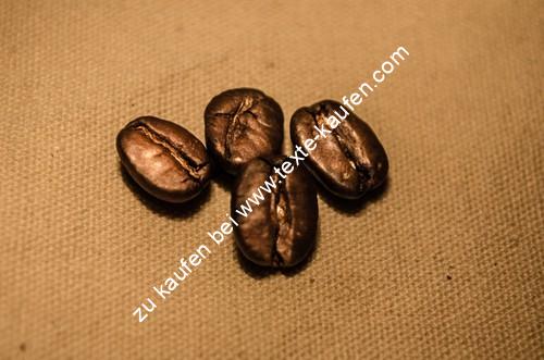 Vier Kaffeebohnen Kleeblattform