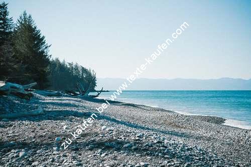 Strand mit Wackersteinen nahe eines Waldes