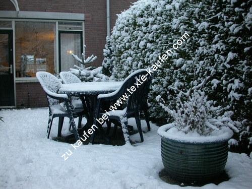 Garten im Winter